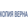 Штамп-Копия-02 38*08