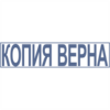 Штамп-Копия-01 38*09