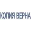 Штамп-Копия-03 45*16 